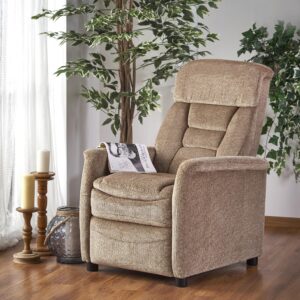 Olohuoneen tuoli JOY