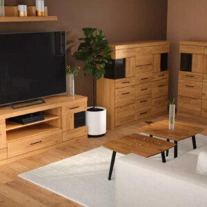 Tammi puusta TV-teline RARO 43